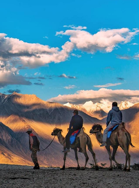 Amazing Ladakh With Nubra & Pangong