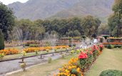 Arrive To Srinagar– Mughal Gardens - 80Km 