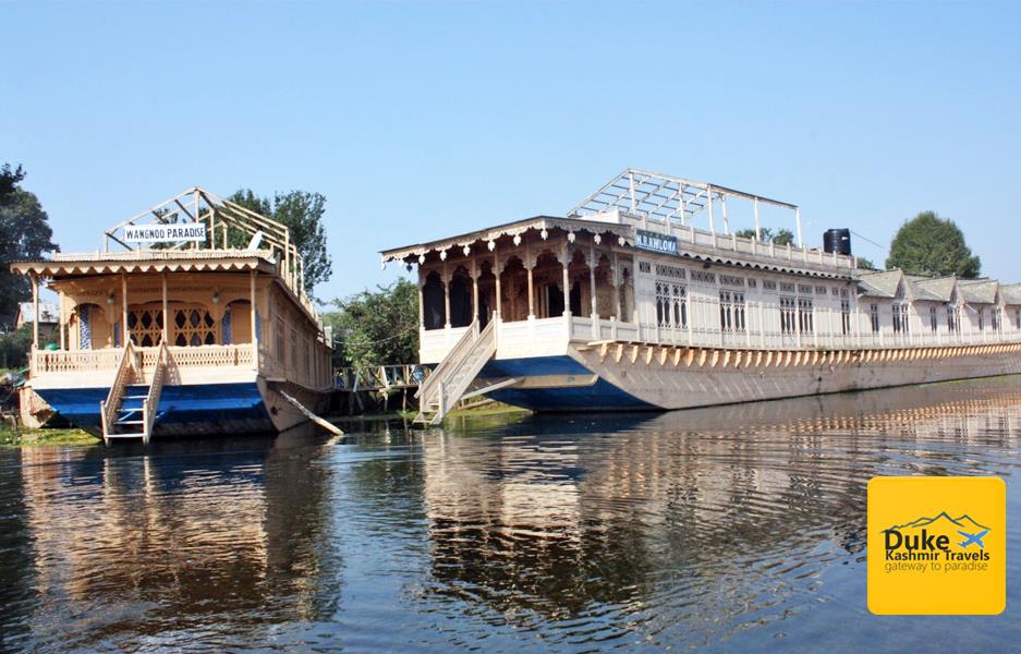 Deluxe Houseboat- Dal Lake