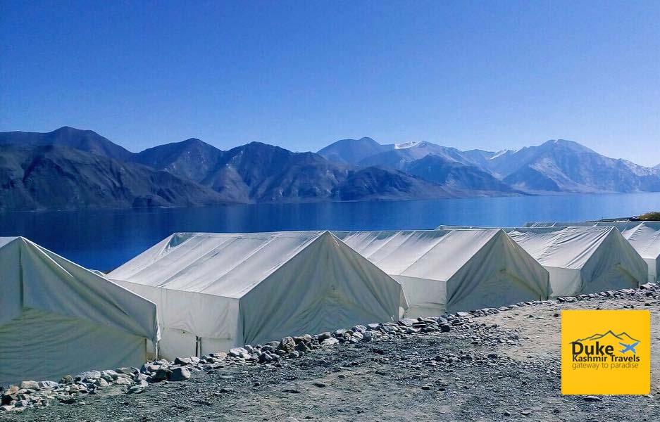 Standard Camp In Pangong
