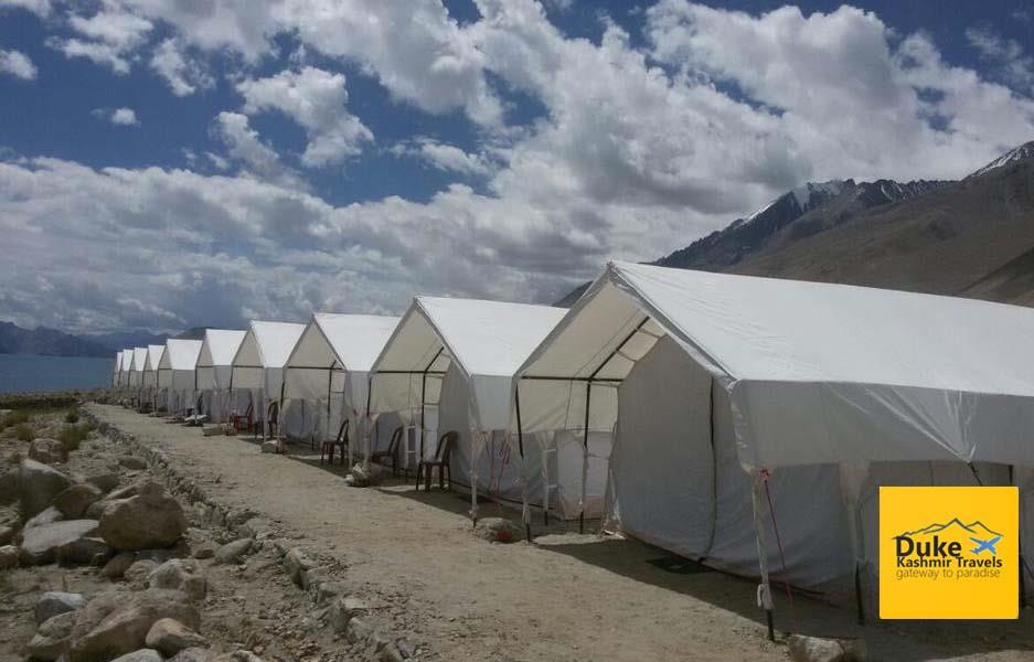 Standard Camp In Pangong