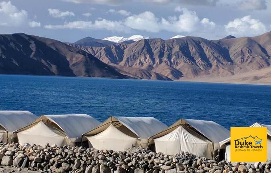 Standard Camp In Pangong