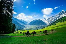Horse riding in Kashmir